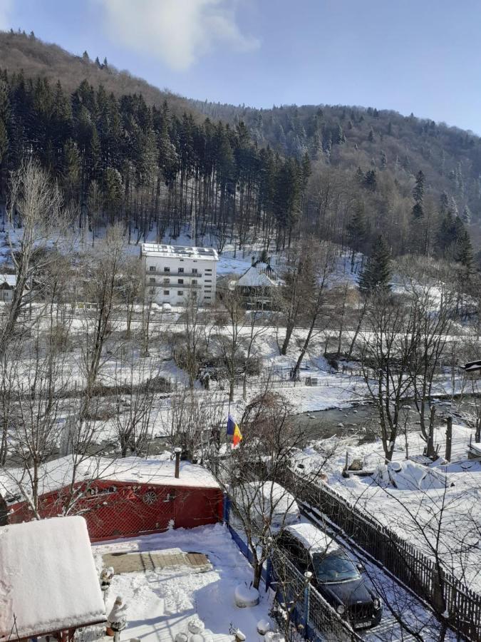Casa Ryana Sinaia Hotel Bagian luar foto