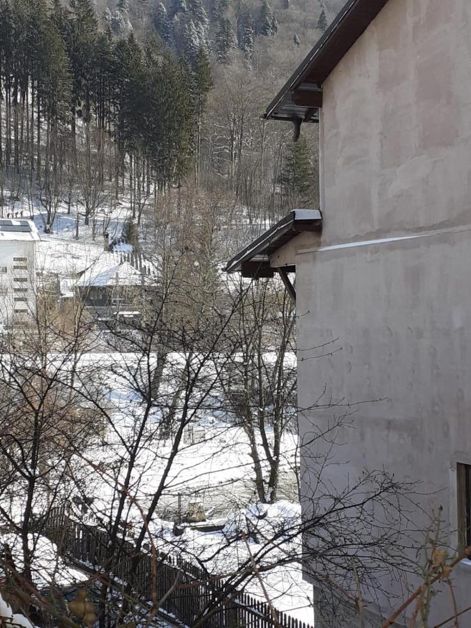 Casa Ryana Sinaia Hotel Bagian luar foto