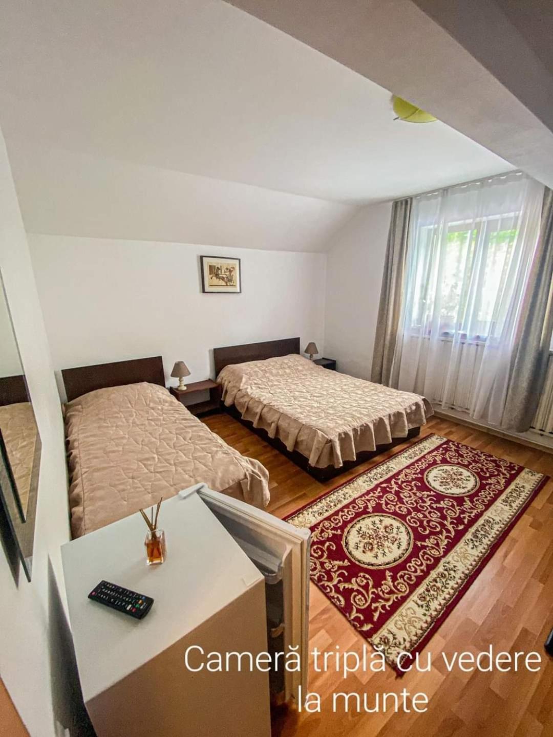 Casa Ryana Sinaia Hotel Bagian luar foto