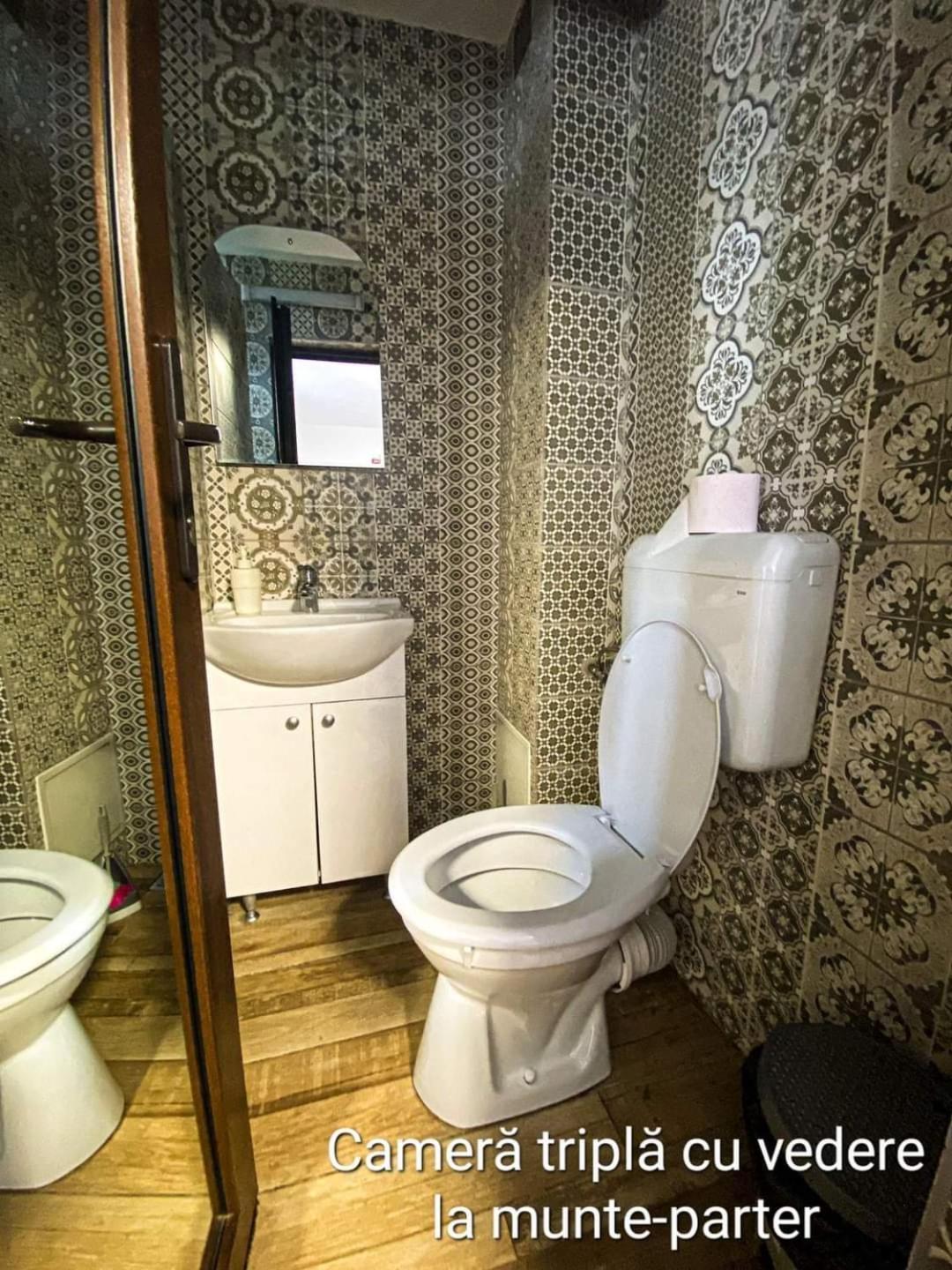 Casa Ryana Sinaia Hotel Bagian luar foto