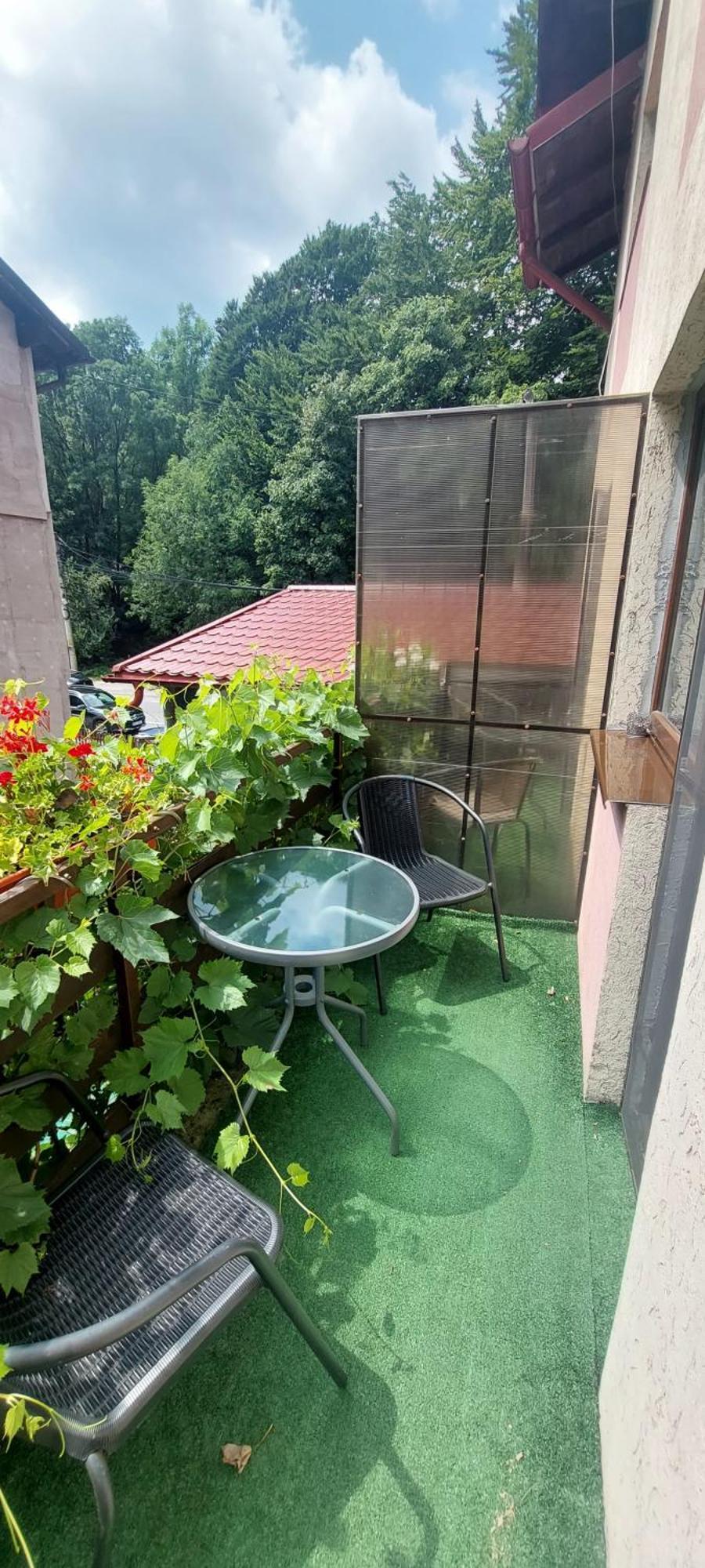 Casa Ryana Sinaia Hotel Bagian luar foto